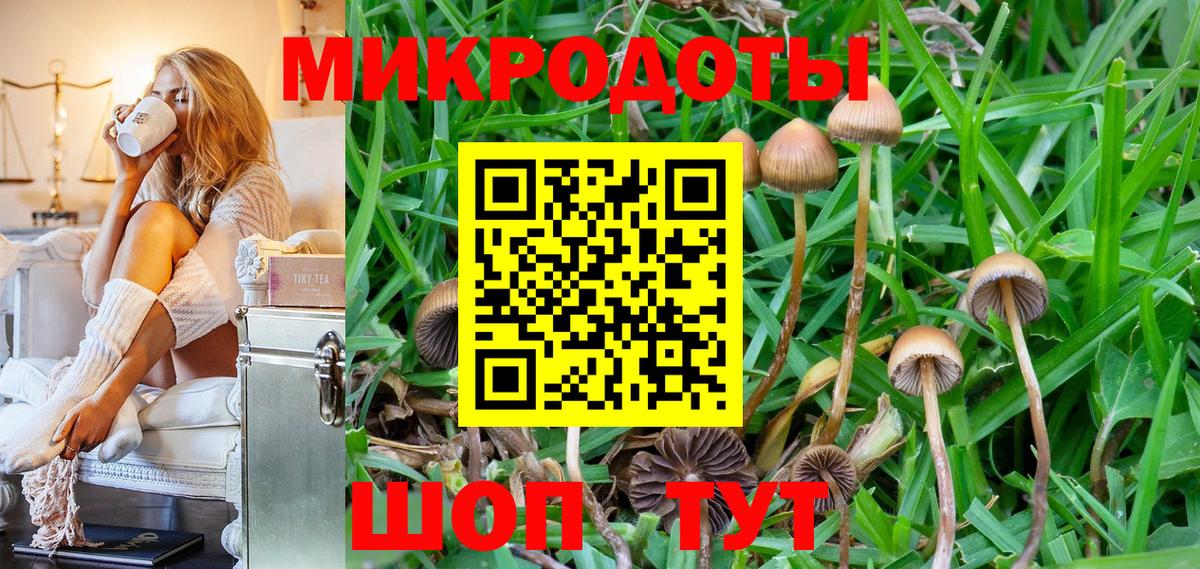 Галлюциногенные грибы Psilocybe Ногинск