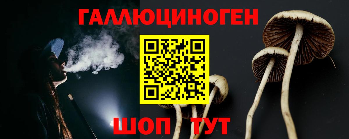 Галлюциногенные грибы ЛСД  Вход с VPN  Ногинск 